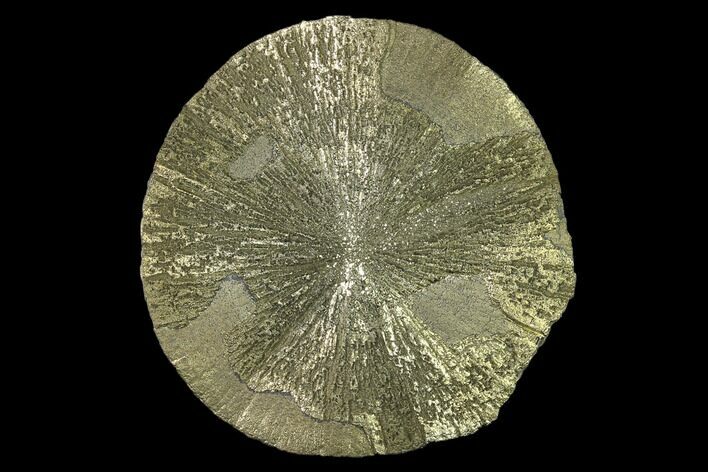 Pyrite Sun - Sparta, Illinois #137901